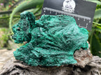 Natural Silky Malachite Specimen x 1 From Kasompe, Congo