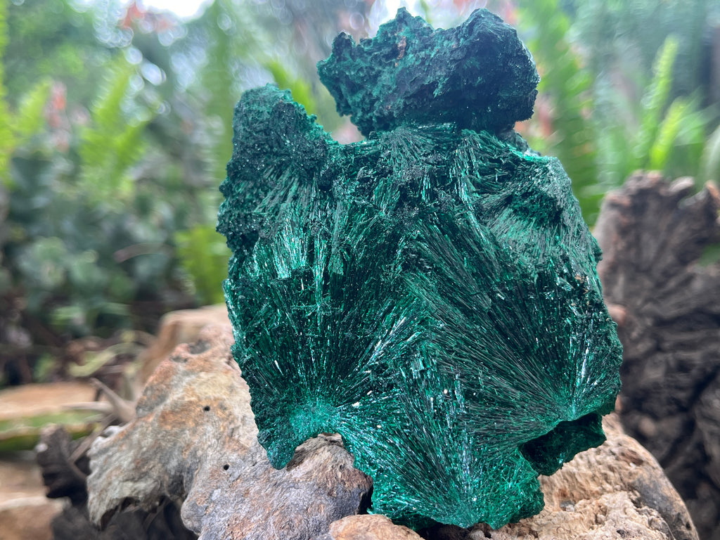 Natural Silky Malachite Specimen x 1 From Kasompe, Congo