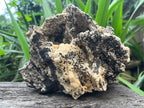 Natural Extremely Rare Poldervaartite 'Olmiite' with Bulfonteinite Specimen x 1 From KMF, N'Chwaning Mine, South Africa