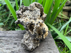 Natural Extremely Rare Poldervaartite 'Olmiite' with Bulfonteinite Specimen x 1 From KMF, N'Chwaning Mine, South Africa