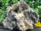 Natural Extremely Rare Poldervaartite 'Olmiite' with Bulfonteinite Specimen x 1 From KMF, N'Chwaning Mine, South Africa