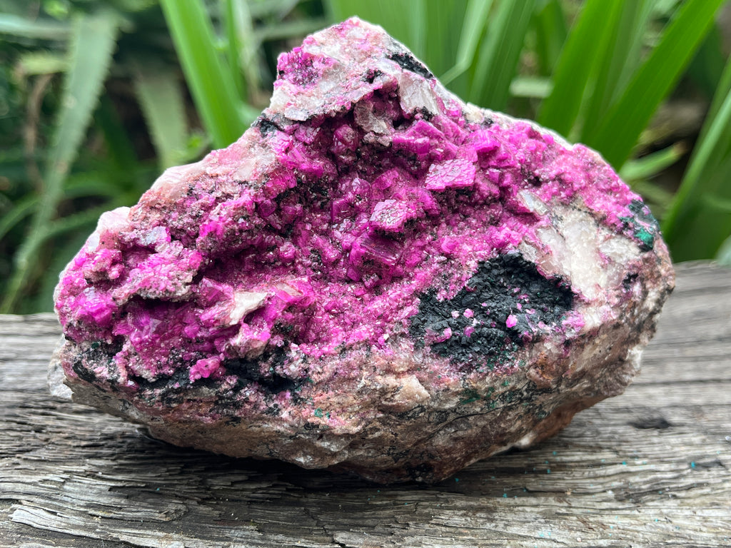 Natural Salrose Specimen x 1 From Kakanda, Congo