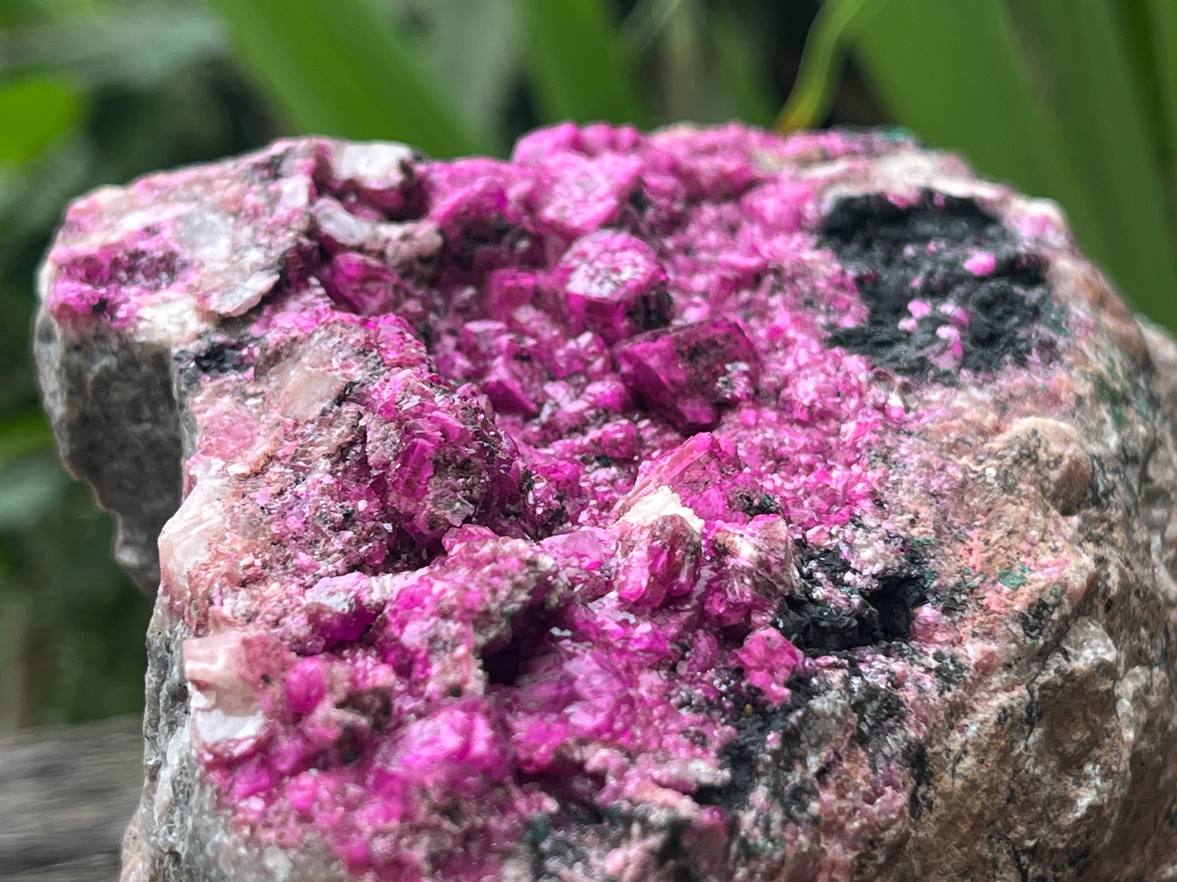Natural Salrose Specimen x 1 From Kakanda, Congo