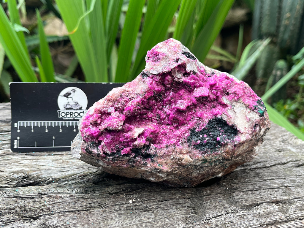 Natural Salrose Specimen x 1 From Kakanda, Congo