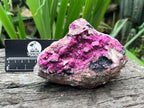 Natural Salrose Specimen x 1 From Kakanda, Congo