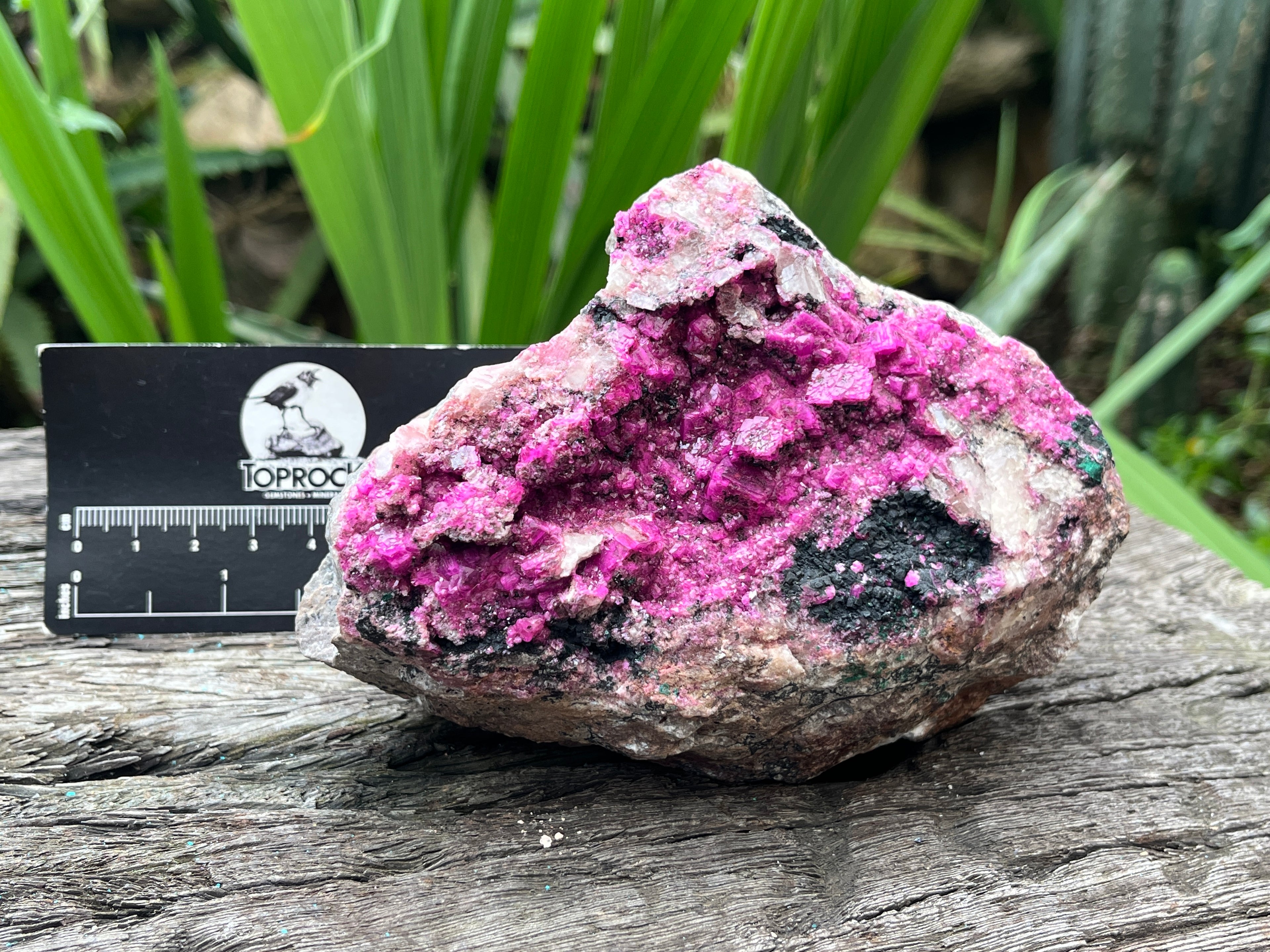 Natural Salrose Specimen x 1 From Kakanda, Congo