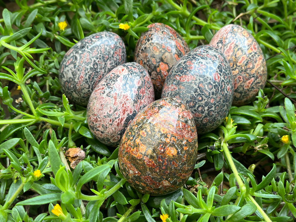 Polished Large Snakeskin Rhyolite Jasper Gemstone Egg x 1 From Australia