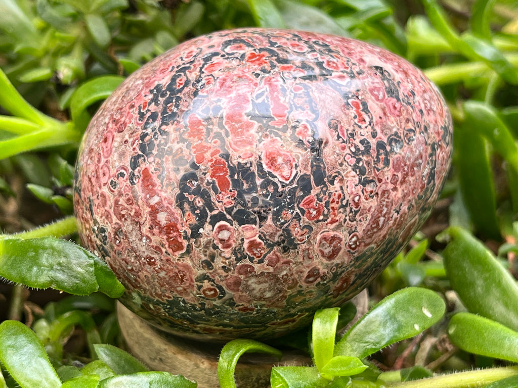 Polished Large Snakeskin Rhyolite Jasper Gemstone Egg x 1 From Australia
