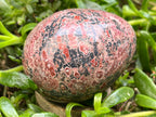 Polished Large Snakeskin Rhyolite Jasper Gemstone Egg x 1 From Australia