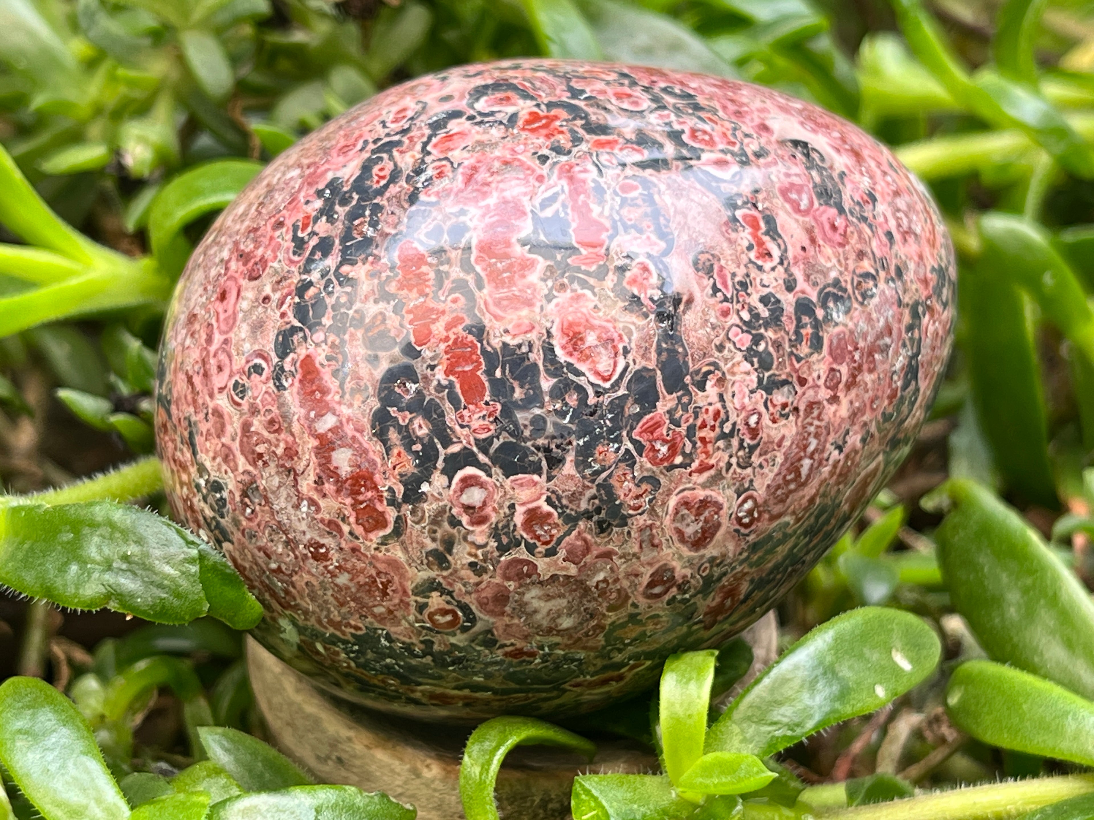 Polished Large Snakeskin Rhyolite Jasper Gemstone Egg x 1 From Australia