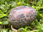 Polished Large Snakeskin Rhyolite Jasper Gemstone Egg x 1 From Australia