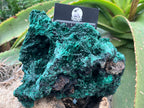 Natural Large Silky Malachite x 1 From Kasompe, Congo