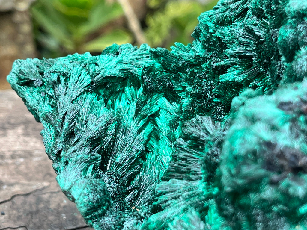 Natural Large Silky Malachite x 1 From Kasompe, Congo