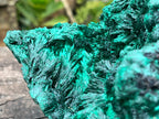 Natural Large Silky Malachite x 1 From Kasompe, Congo