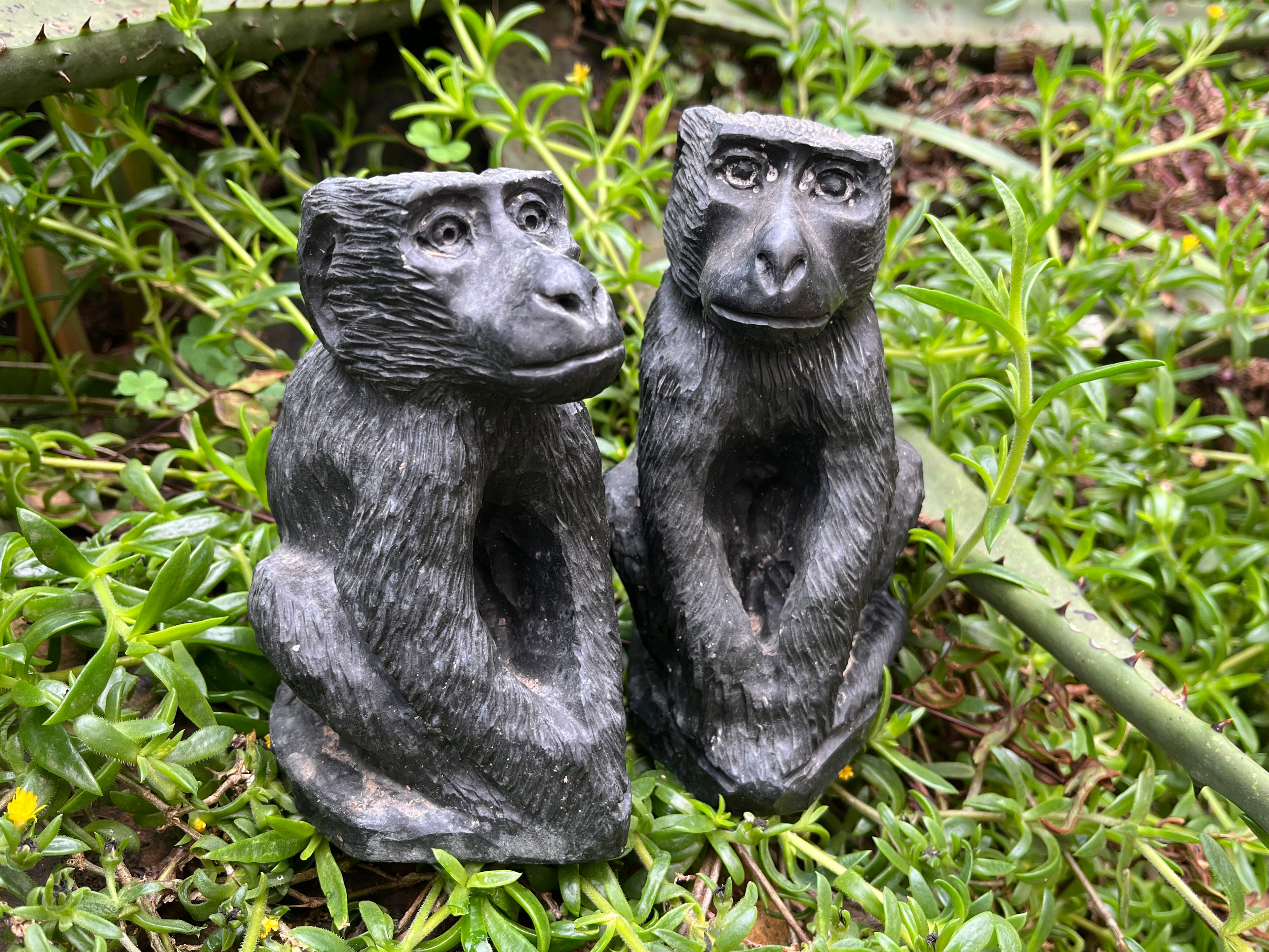 Hand Made Pair of Sitting Baboon Soapstone Carvings x 2 From Zimbabwe