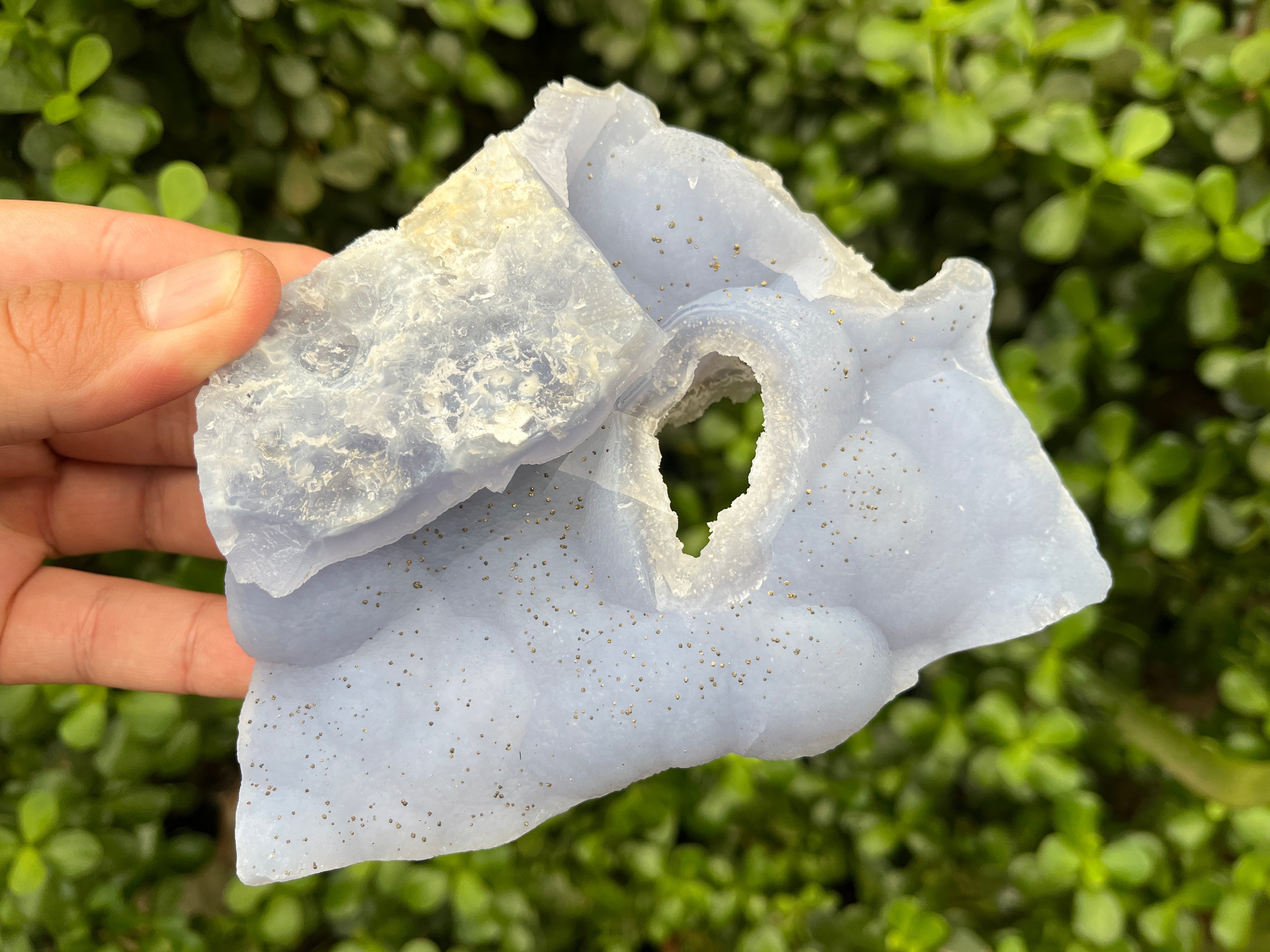 Natural Etched Blue Chalcedony with a Golden Pyrite Dusting x 1 From Nsanje, Malawi