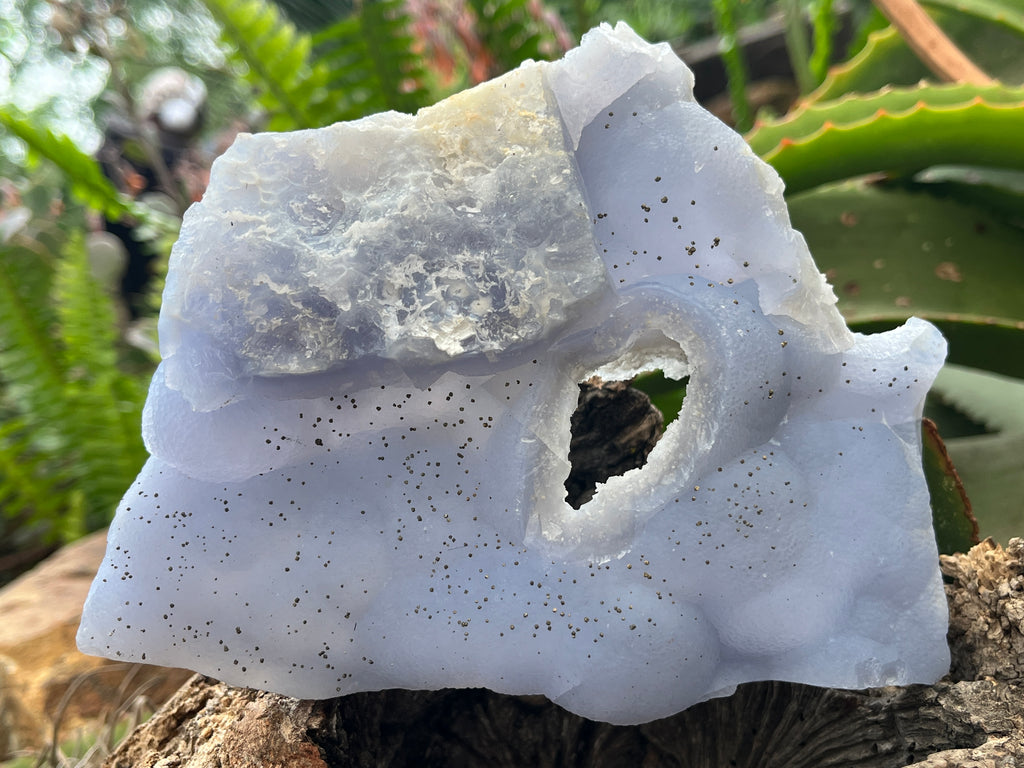 Natural Etched Blue Chalcedony with a Golden Pyrite Dusting x 1 From Nsanje, Malawi