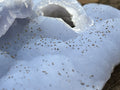 Natural Etched Blue Chalcedony with a Golden Pyrite Dusting x 1 From Nsanje, Malawi