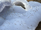 Natural Etched Blue Chalcedony with a Golden Pyrite Dusting x 1 From Nsanje, Malawi