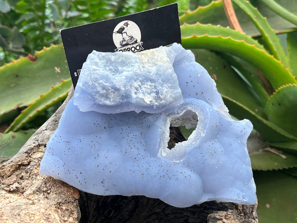 Natural Etched Blue Chalcedony with a Golden Pyrite Dusting x 1 From Nsanje, Malawi