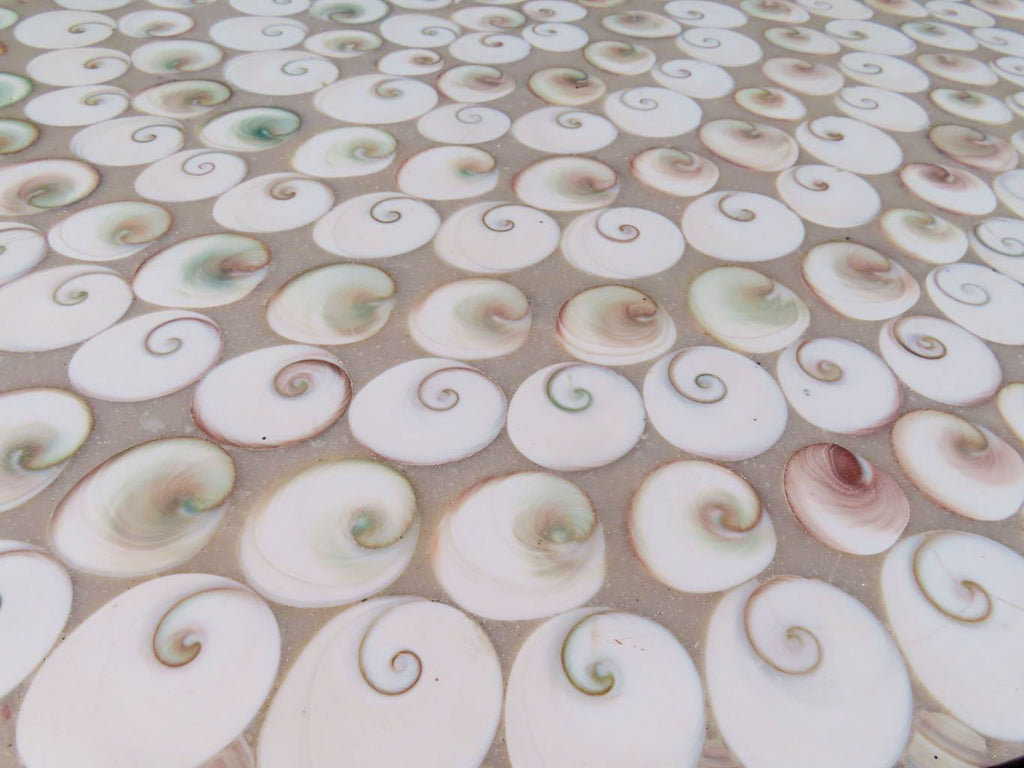 Hand Made Extra Large Vintage Shell Table Top x 1 From Madagascar
