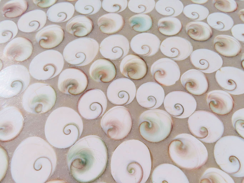 Hand Made Extra Large Vintage Shell Table Top x 1 From Madagascar