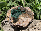 Natural Ball Malachite On Dolomite Matrix Specimen x 1 From Kambove, Congo