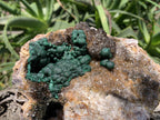 Natural Ball Malachite On Dolomite Matrix Specimen x 1 From Kambove, Congo