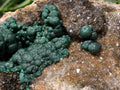 Natural Ball Malachite On Dolomite Matrix Specimen x 1 From Kambove, Congo