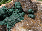 Natural Ball Malachite On Dolomite Matrix Specimen x 1 From Kambove, Congo