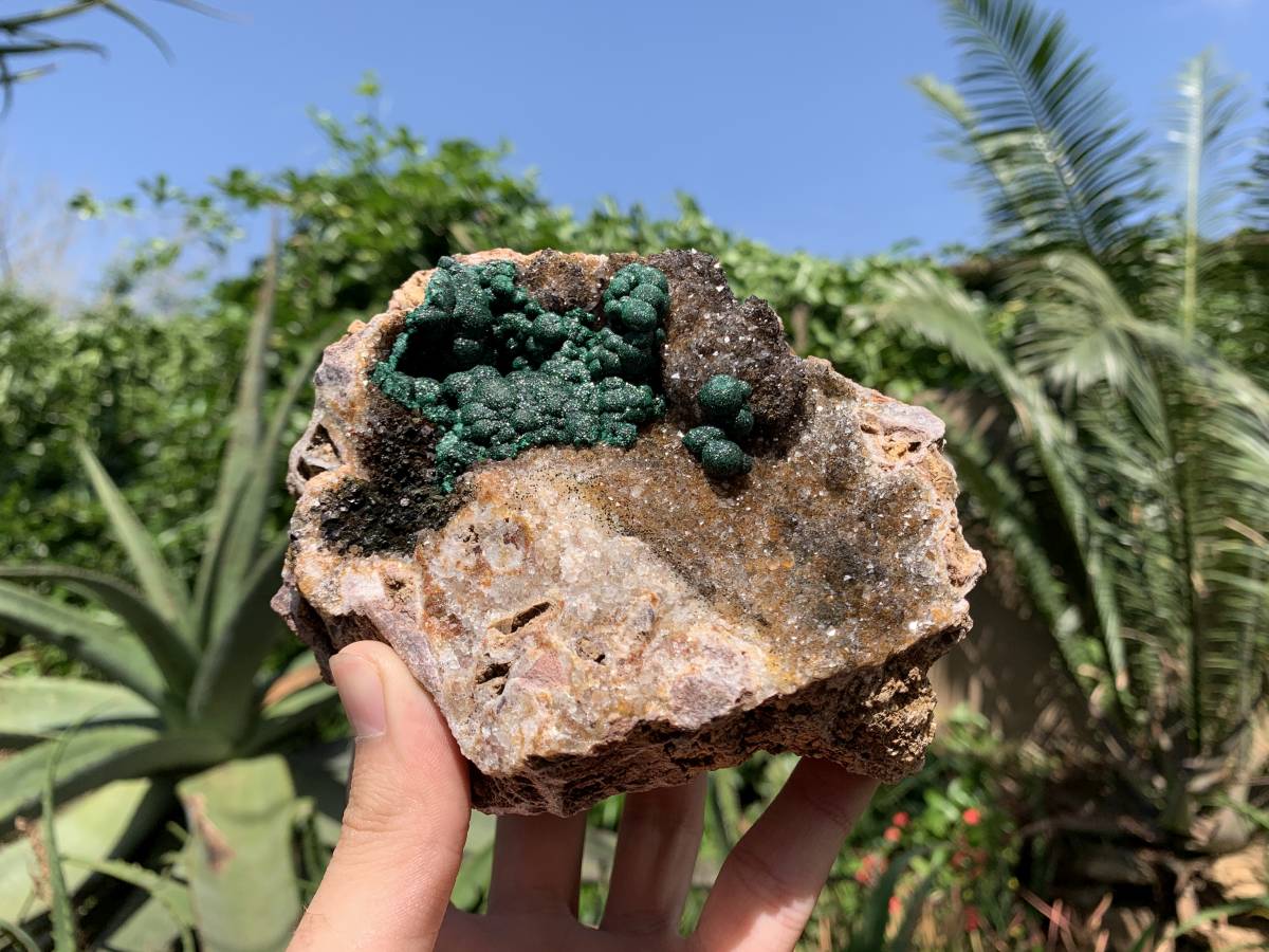 Natural Ball Malachite On Dolomite Matrix Specimen x 1 From Kambove, Congo