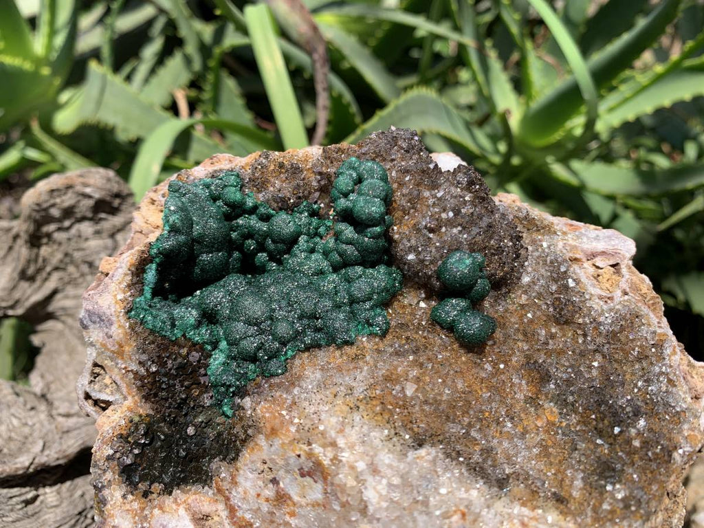 Natural Ball Malachite On Dolomite Matrix Specimen x 1 From Kambove, Congo