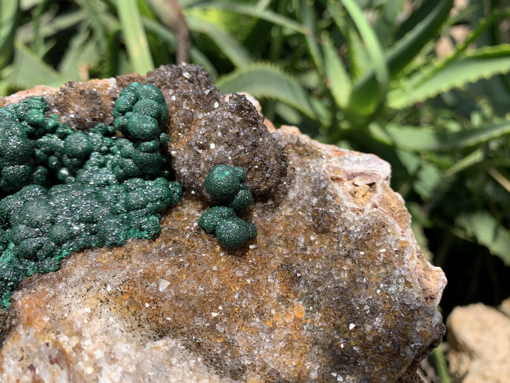 Natural Ball Malachite On Dolomite Matrix Specimen x 1 From Kambove, Congo