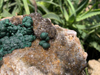 Natural Ball Malachite On Dolomite Matrix Specimen x 1 From Kambove, Congo
