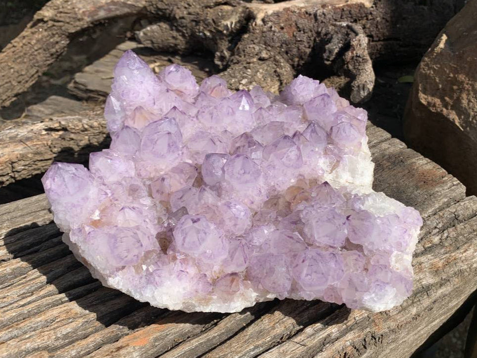 Natural A Grade Sunburst Amethyst Spirit Quartz Cluster x 1 From Boekenhouthoek, South Africa