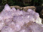 Natural A Grade Sunburst Amethyst Spirit Quartz Cluster x 1 From Boekenhouthoek, South Africa