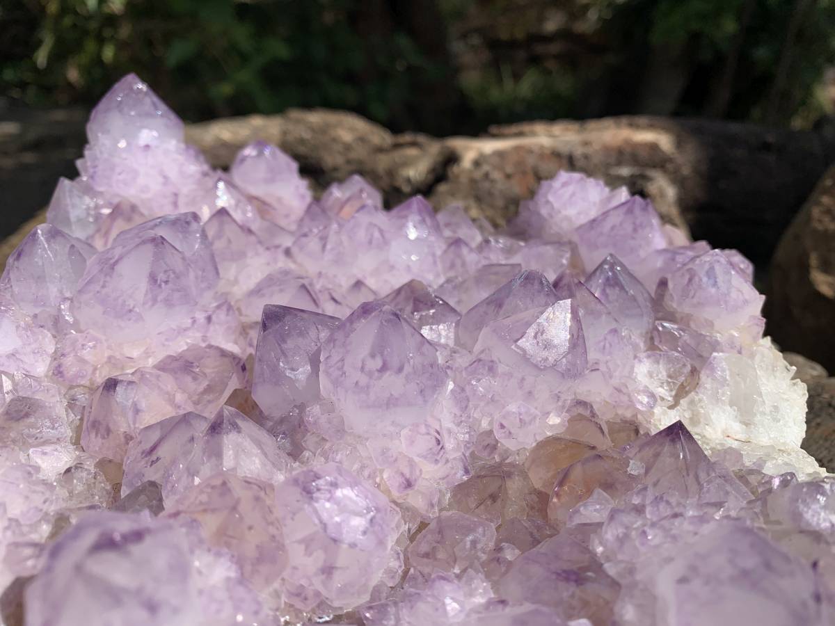 Natural A Grade Sunburst Amethyst Spirit Quartz Cluster x 1 From Boekenhouthoek, South Africa