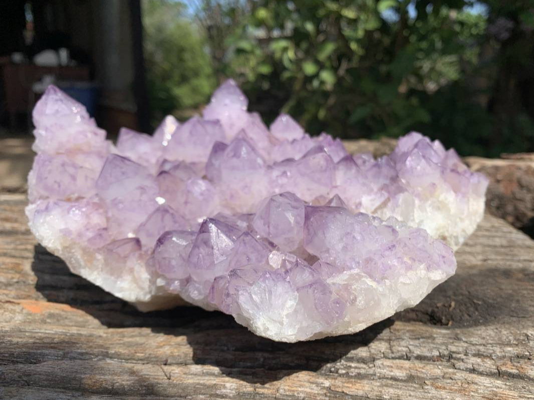 Natural A Grade Sunburst Amethyst Spirit Quartz Cluster x 1 From Boekenhouthoek, South Africa