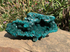 Exquisite Shiny Natural Dioptase Vug Specimen x 1 From Likasi, Congo
