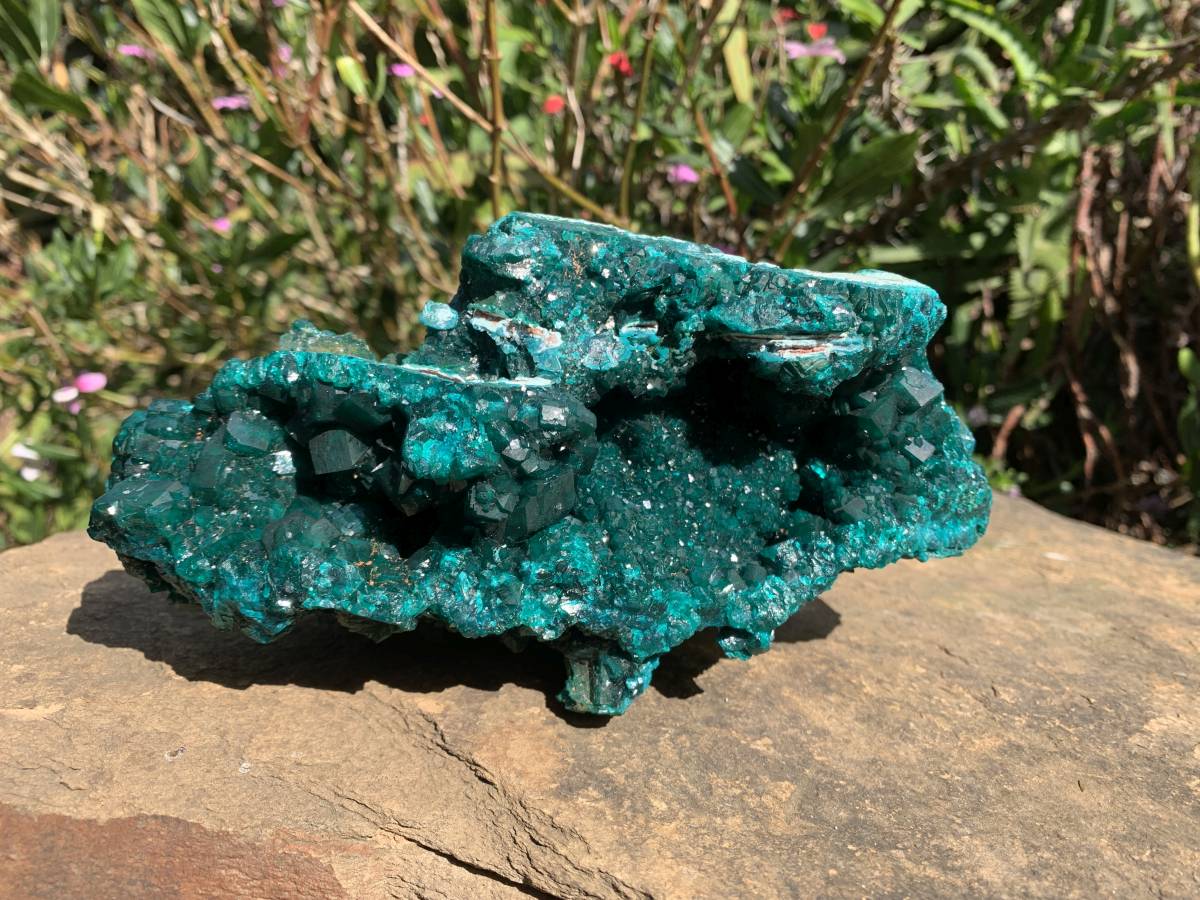 Exquisite Shiny Natural Dioptase Vug Specimen x 1 From Likasi, Congo