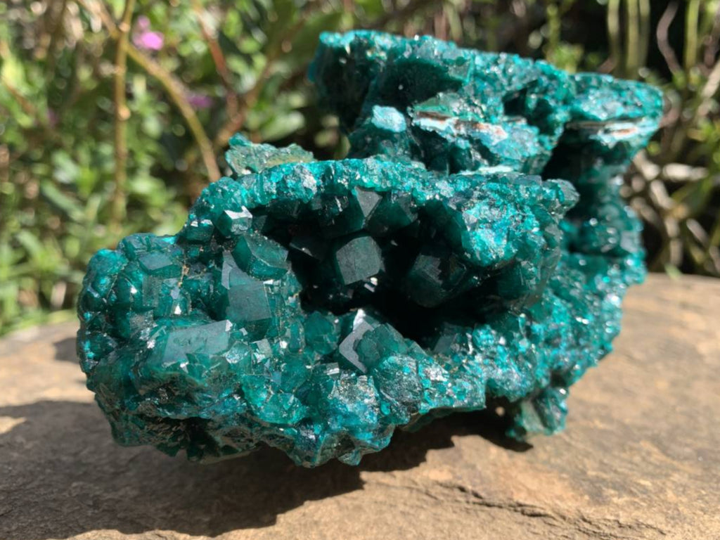 Exquisite Shiny Natural Dioptase Vug Specimen x 1 From Likasi, Congo