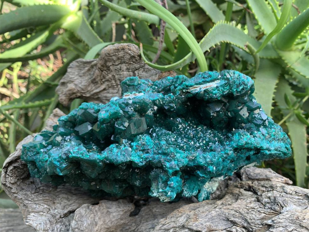 Exquisite Shiny Natural Dioptase Vug Specimen x 1 From Likasi, Congo