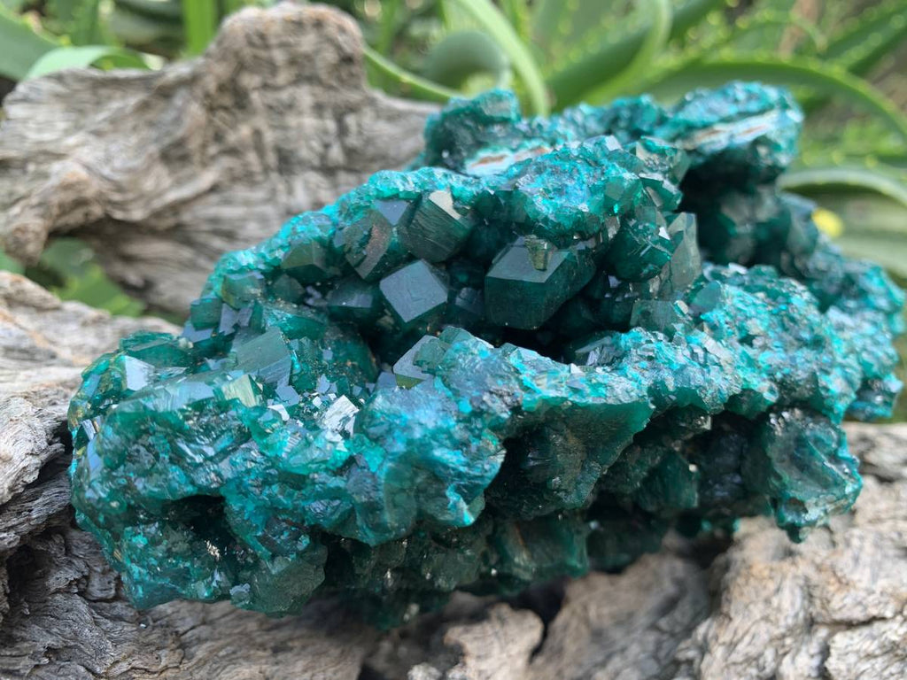 Exquisite Shiny Natural Dioptase Vug Specimen x 1 From Likasi, Congo
