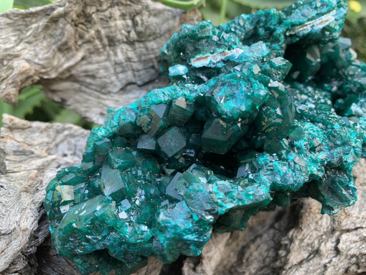 Exquisite Shiny Natural Dioptase Vug Specimen x 1 From Likasi, Congo