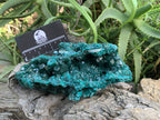 Exquisite Shiny Natural Dioptase Vug Specimen x 1 From Likasi, Congo