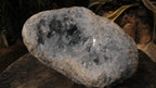 Natural Exquisite XL Acicular Celestite Geode x 1 From Sakoany, Madagascar