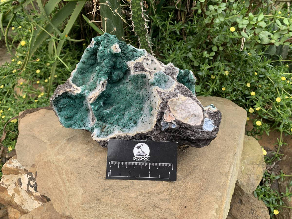 Natural XL Unique Multi-Vug Crystalline and Ball Malachite Specimen x 1 From Mindingi Mine, Cong