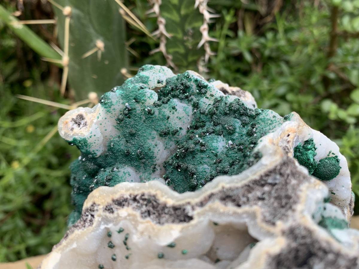Natural XL Unique Multi-Vug Crystalline and Ball Malachite Specimen x 1 From Mindingi Mine, Cong