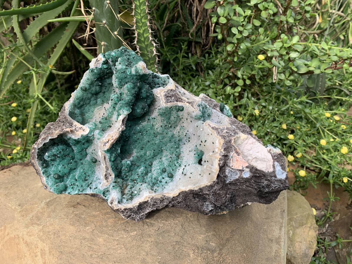 Natural XL Unique Multi-Vug Crystalline and Ball Malachite Specimen x 1 From Mindingi Mine, Cong