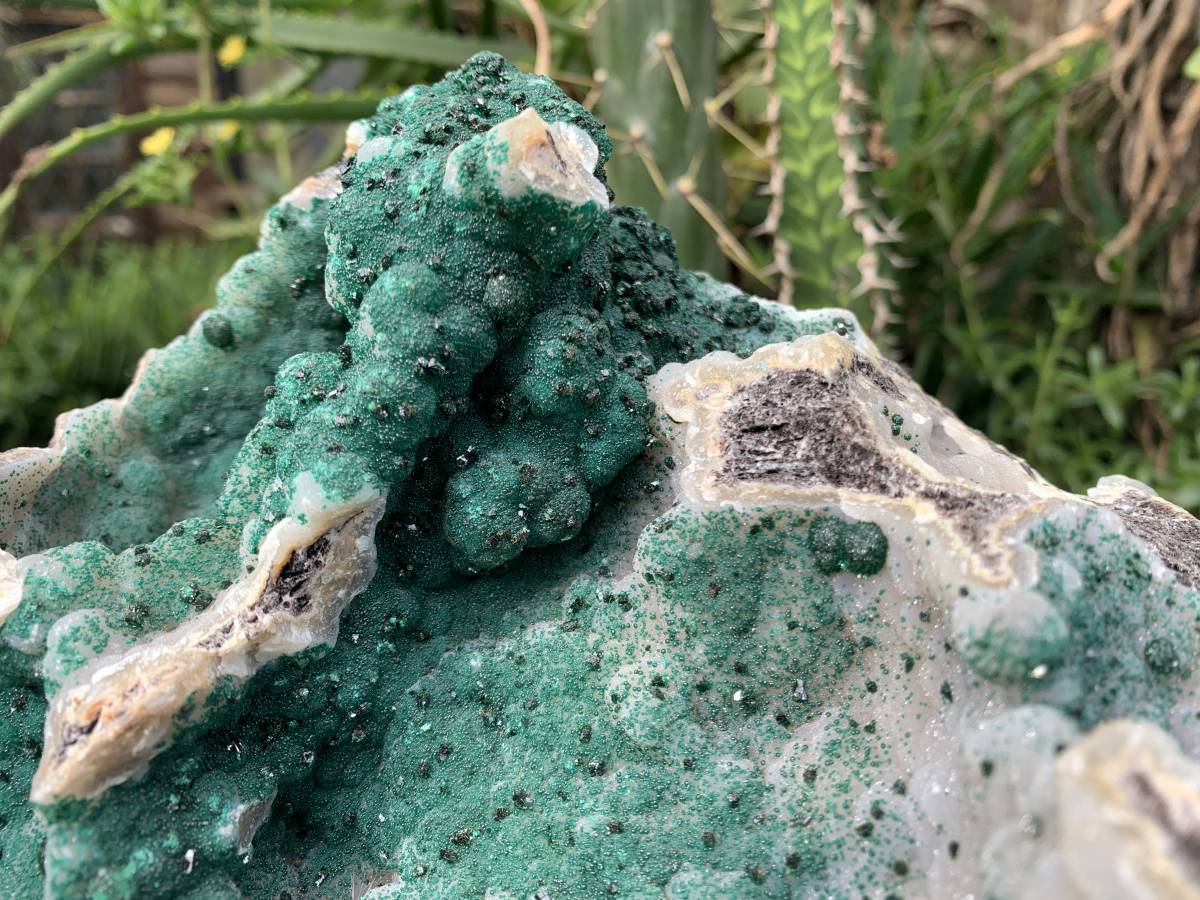 Natural XL Unique Multi-Vug Crystalline and Ball Malachite Specimen x 1 From Mindingi Mine, Cong